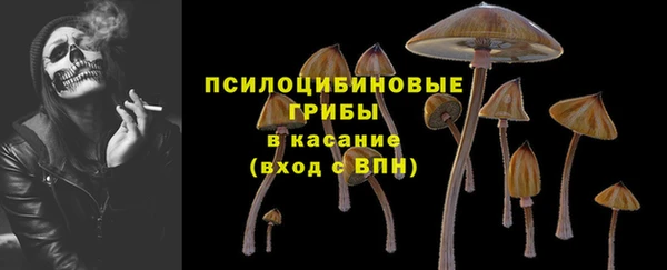 трава Баксан