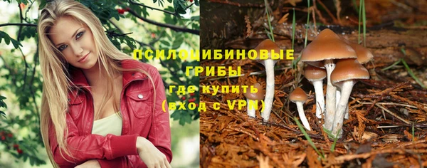 трава Баксан