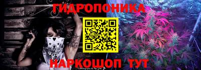 ешки Дубна