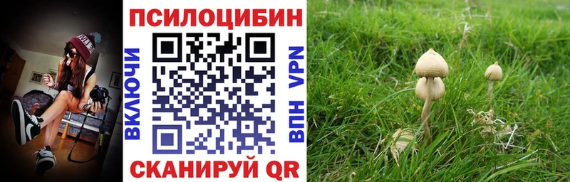 Псилоцибиновые грибы ЛСД  Спасск-Дальний 